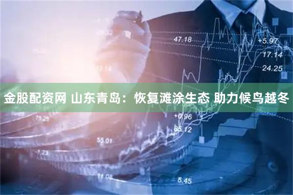 金股配资网 山东青岛：恢复滩涂生态 助力候鸟越冬